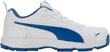 Puma Classicat 107807 03 Cricket Rubber Shoes White Royal