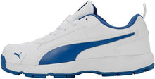 Puma Classicat 107807 03 Cricket Rubber Shoes White Royal