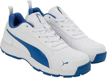 Puma Classicat 107807 03 Cricket Rubber Shoes White Royal