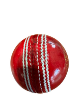 SSU Super League Leather Cricket Ball