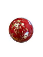 SSU Super League Leather Cricket Ball