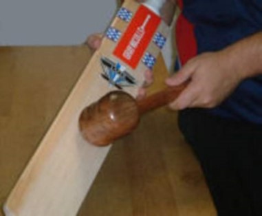 Used Bat Knocking Service