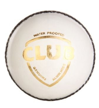 SG CLUB Cricket Leather Ball Junior