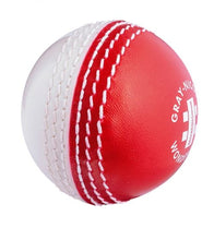 Gray Nicolls Cricket Wonderball